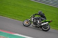 Middle Group Green Bikes